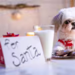 17 Holiday Foods Not to Feed Dogs