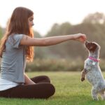Puppy Training 101: Your Guide to Mastering Basic Puppy Training