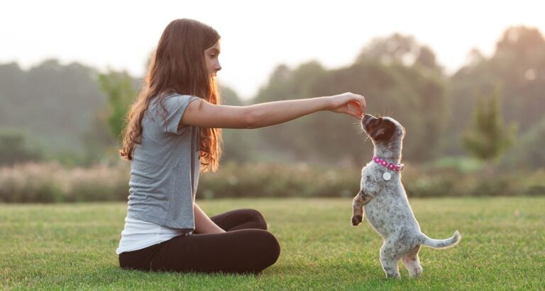 Puppy training