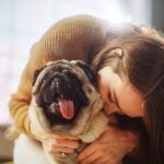 Can Humans Get Fleas From Dogs? Sure Can—Here’s How to Spot Them