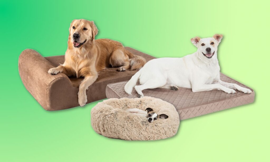 A few of the best dog beds as rated and reviewed by dog owners and experts