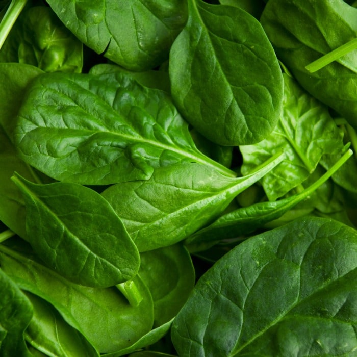 Vegetables for dogs