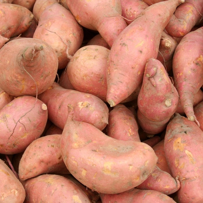 Vegetables for dogs