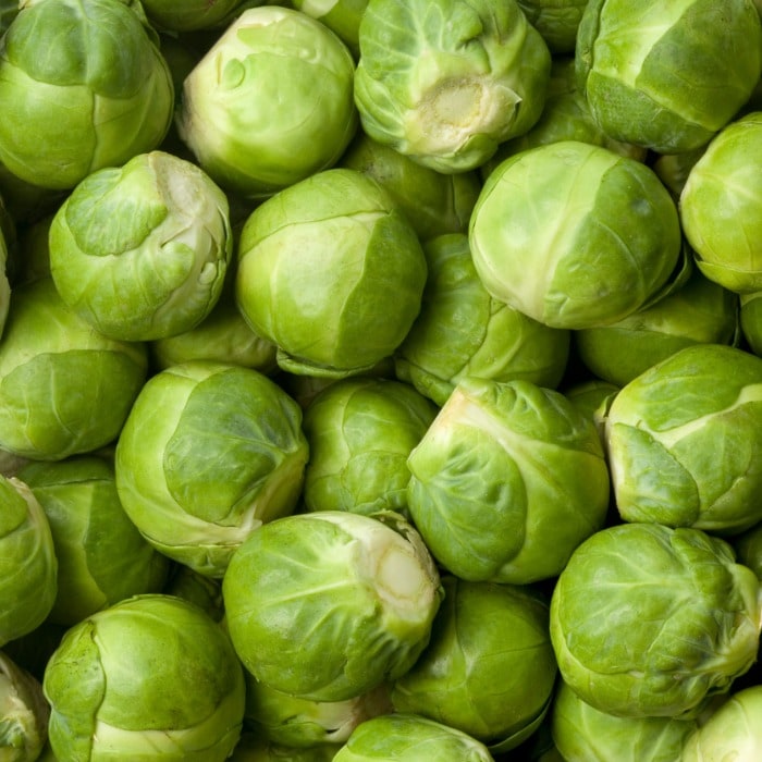 Vegetables for dogs