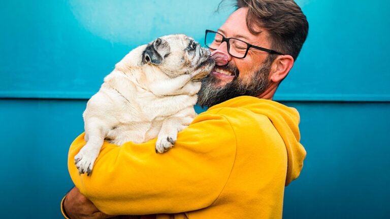Pet Parenting