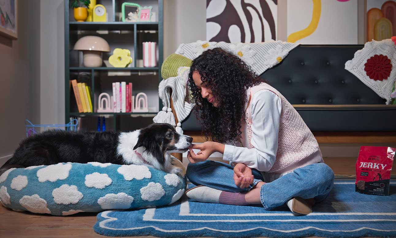 A woman giving her a dog a treat for staying off the couch