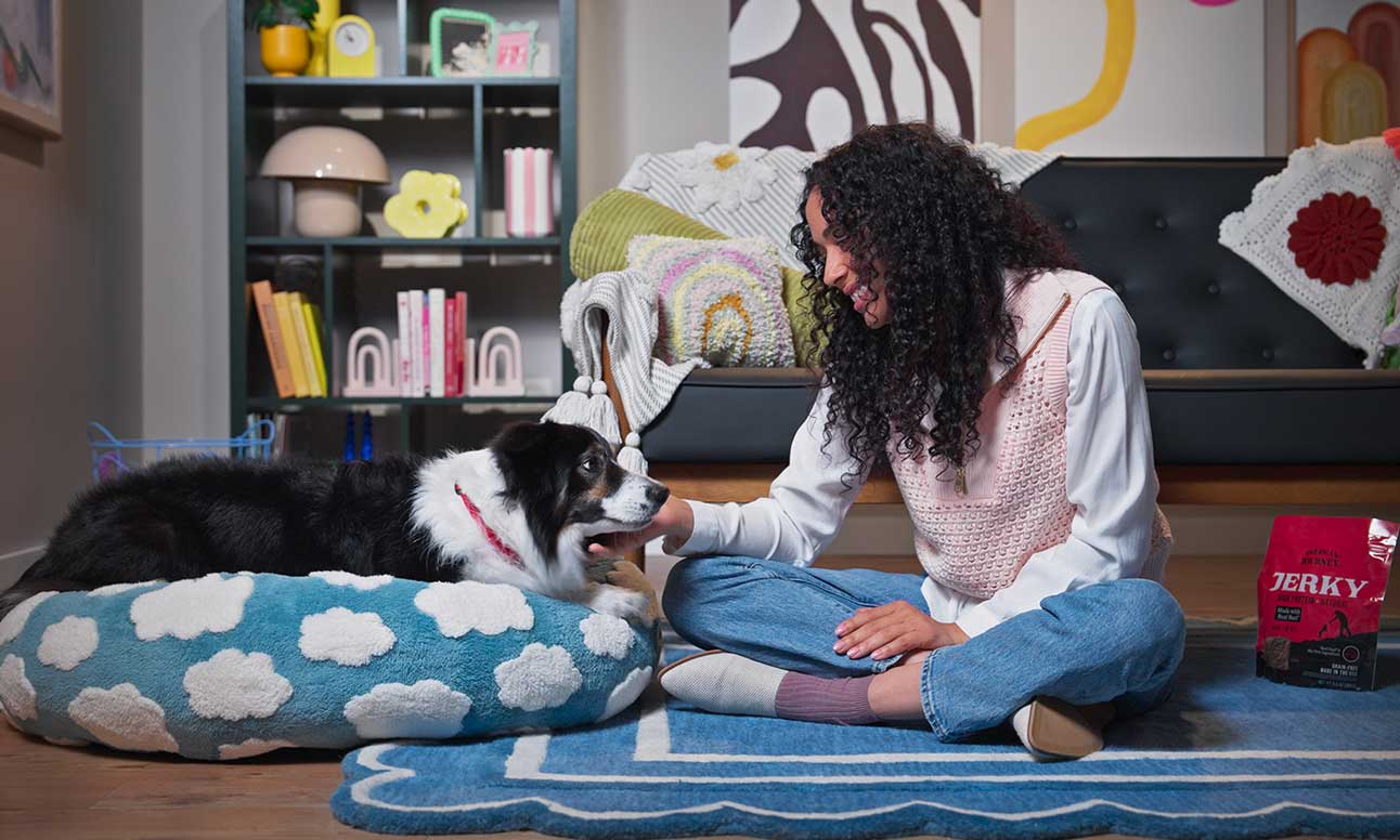 A woman training her dog to keep off the couch