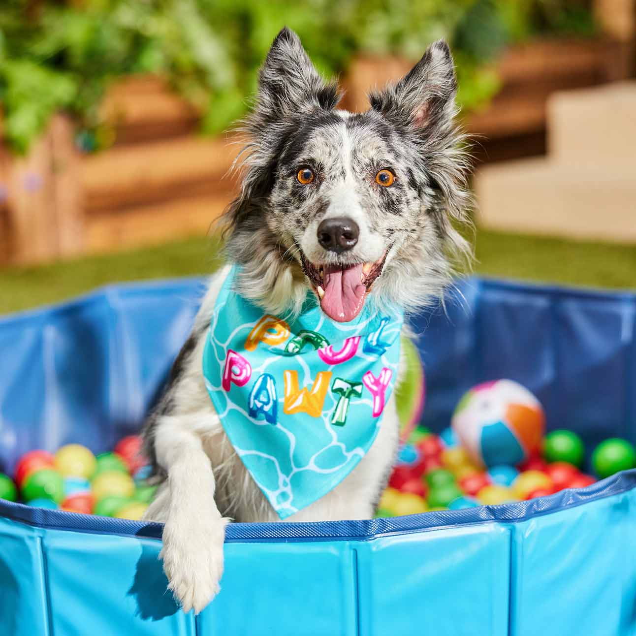 A dog wearing a "pool pawty" bandana sitting in a ball pit